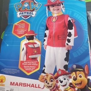 Paw patrol costume